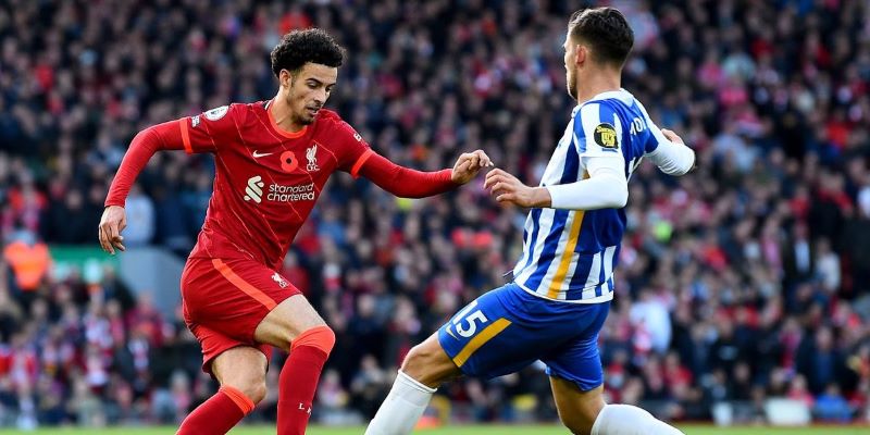 Nhận định trận đấu Brighton vs Liverpool