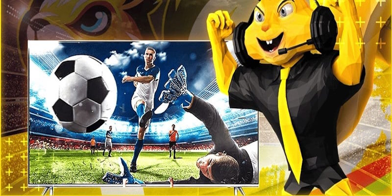 Sơ lược thông tin Socolive có lừa đảo không? Có bị bắt không Sơ lược thông tin Socolive có lừa đảo không? Có bị bắt không